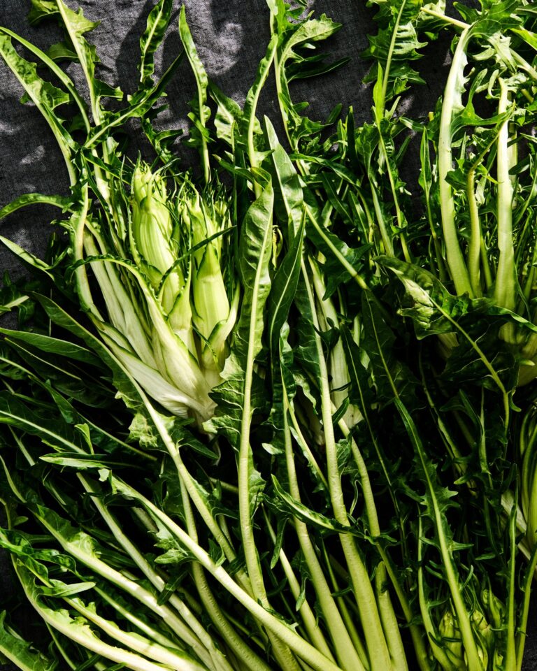 Come Cucinare Con Le Puntarelle