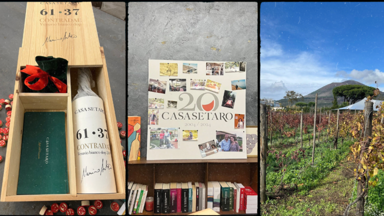 Casa Setaro: 5 segreti del vino del Vesuvio – Foodmakers.it